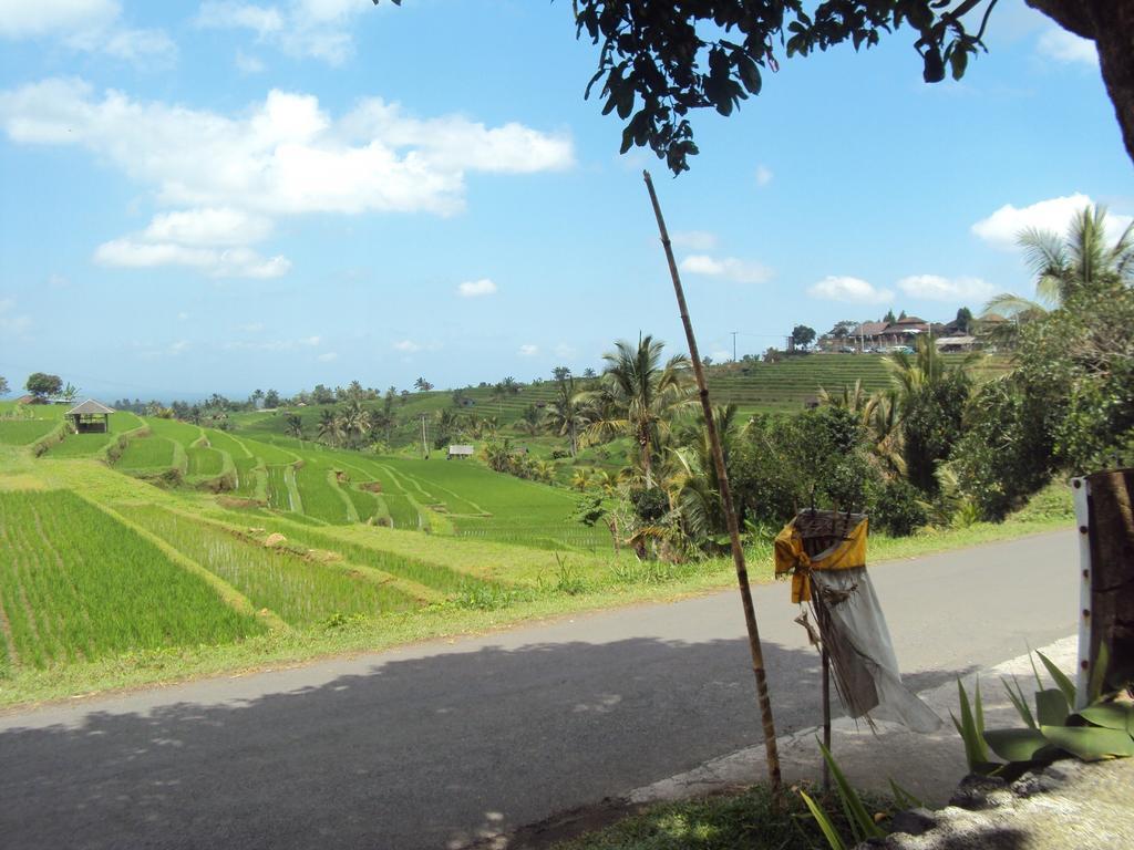 Teras Subak Jatiluwih Apartment Ngoại thất bức ảnh